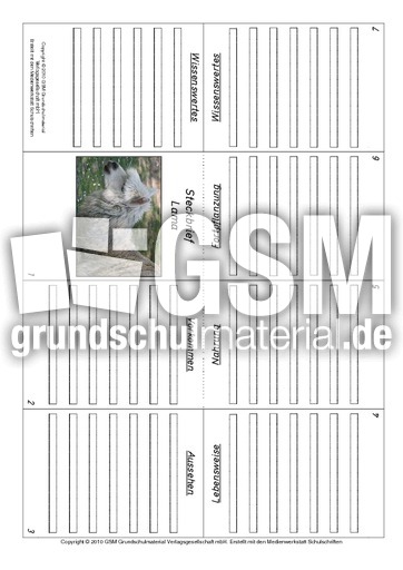 Faltbuch-Lama.pdf